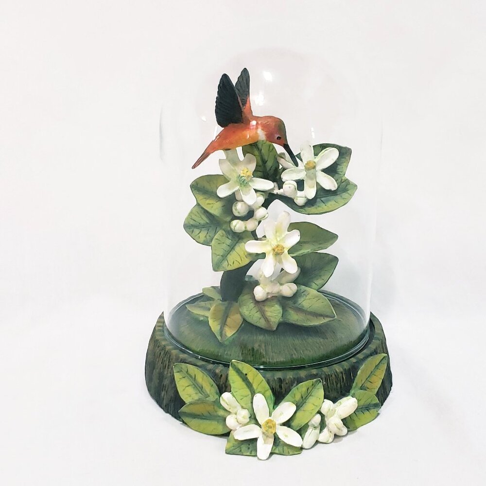 Hummingbird Orange Blossom Beauty with Glass Dome Franklin Mint